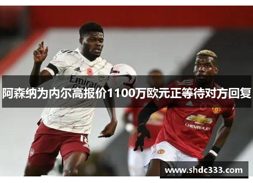 阿森纳为内尔高报价1100万欧元正等待对方回复