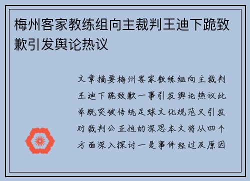 梅州客家教练组向主裁判王迪下跪致歉引发舆论热议